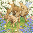 Roe Deer and Fawn