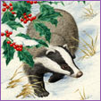 Badger in snow