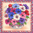 Anenome de caen