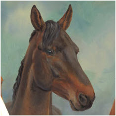 Rachel's Horses - close up