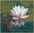 Waterlily-oil painting