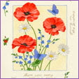 Red Poppies
