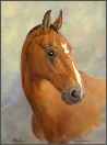 Horse Portrait - 'Melody'