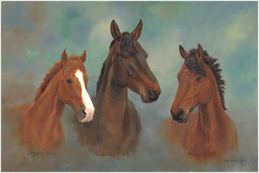 Rachel's Horses - 3 heads portrait