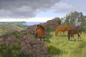 Ponies on Carningli - Wales